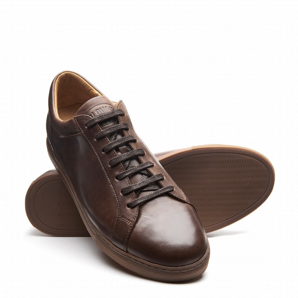 Solovair Gaucho Crazy Horse 070 Sneakers Dame Brune | S7-070-CH-B-030