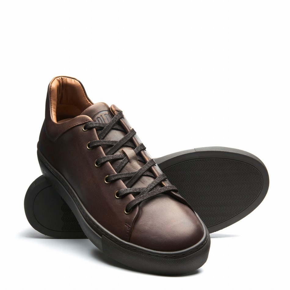 Solovair Gaucho Crazy Horse Sneakers Herre Brune | S6-SNE-CH-BNS-030